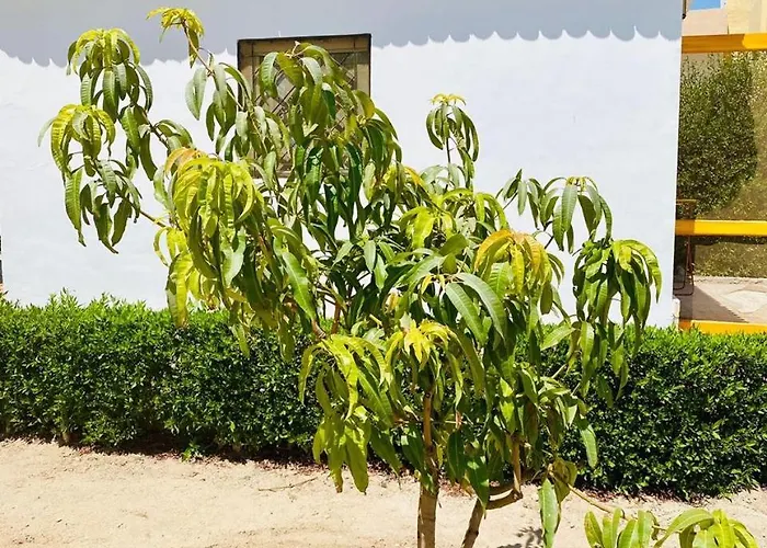 Villa Happiness Majawish, Close To The Center